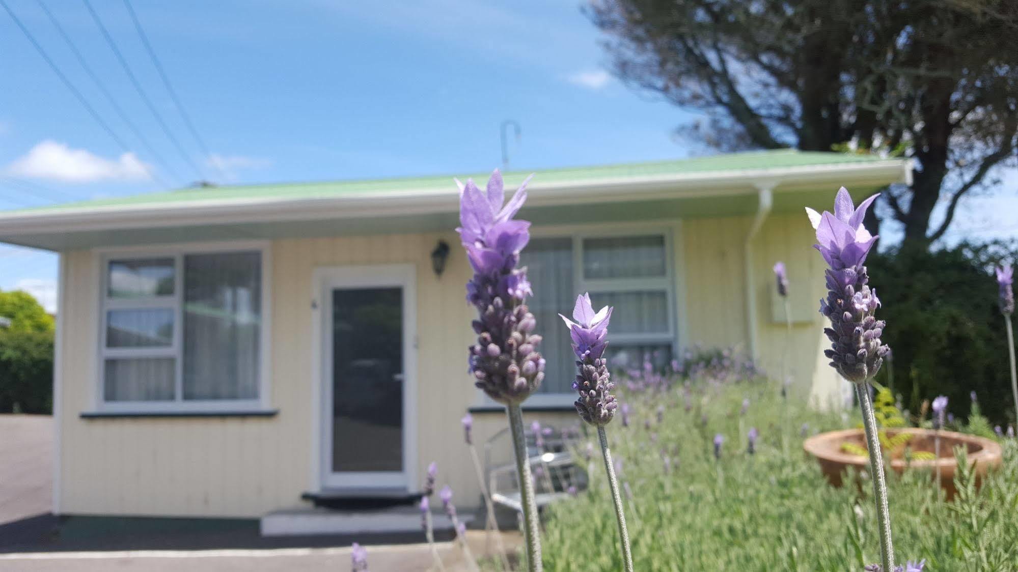 Timandra Motel New Plymouth Bagian luar foto