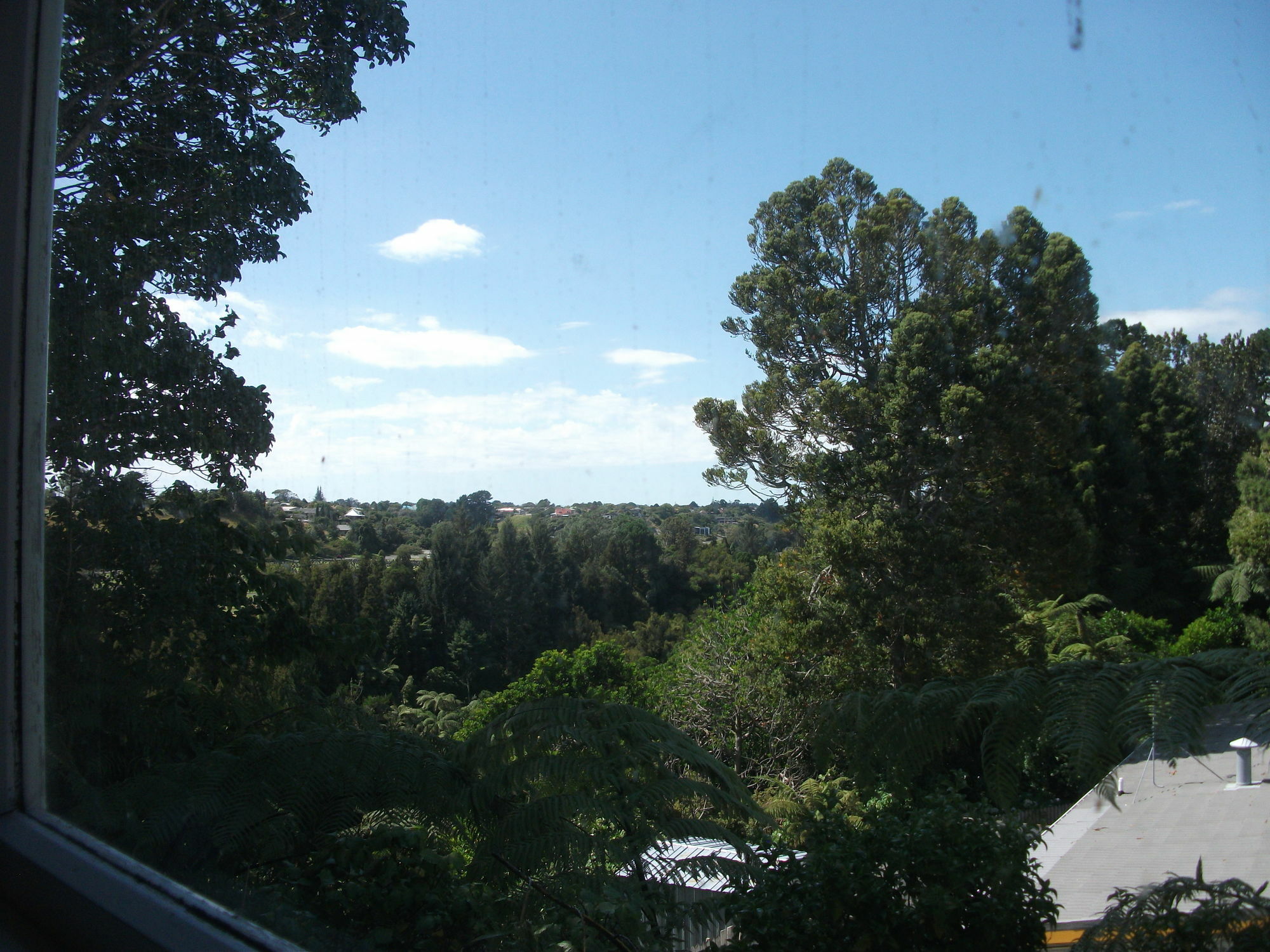Timandra Motel New Plymouth Bagian luar foto