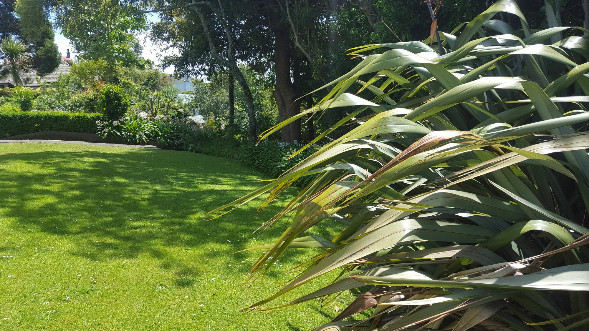 Timandra Motel New Plymouth Bagian luar foto