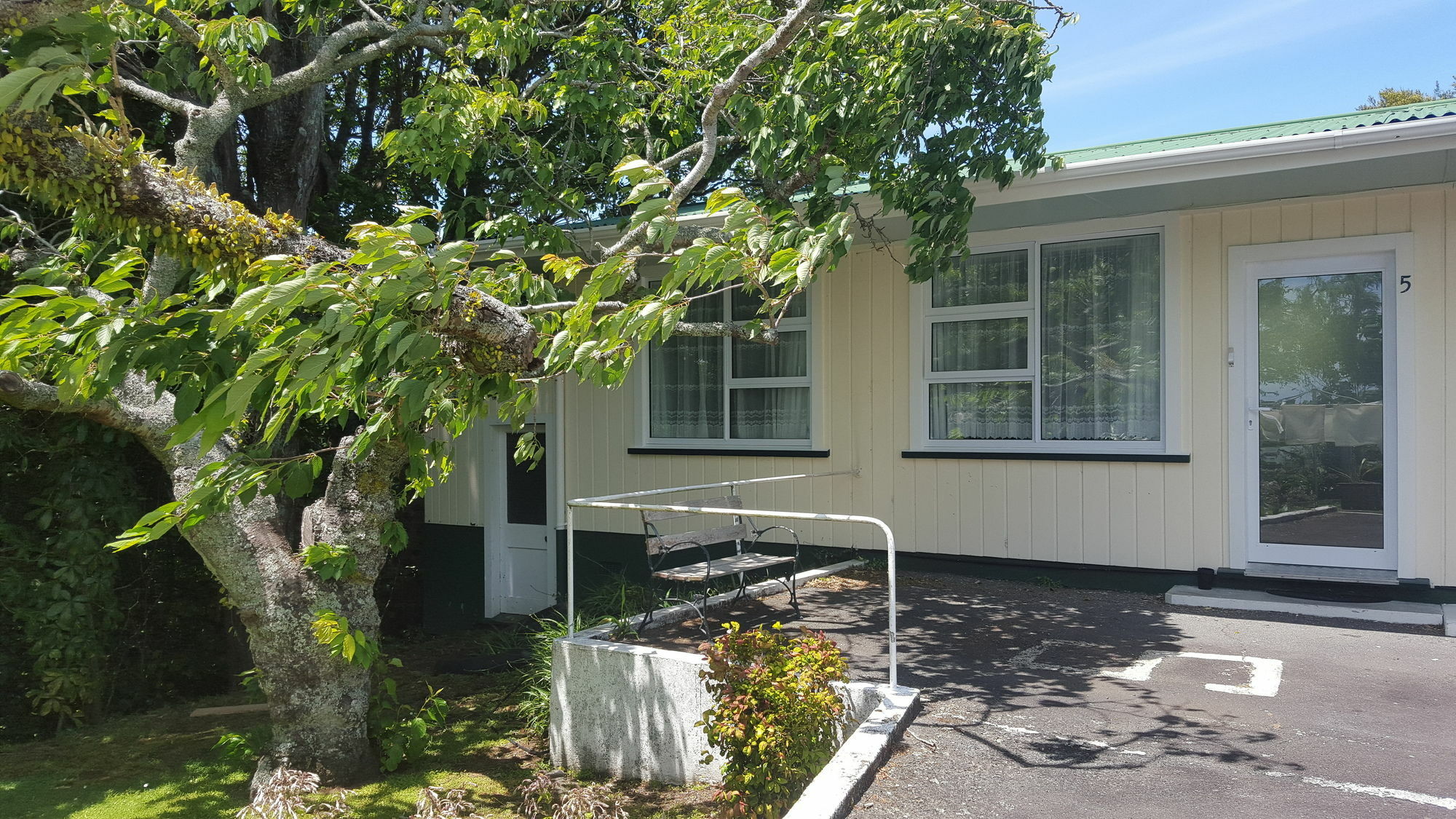 Timandra Motel New Plymouth Bagian luar foto